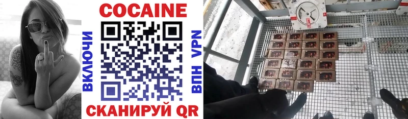 Купить закладки  Подольск  COCAIN Эквадор 