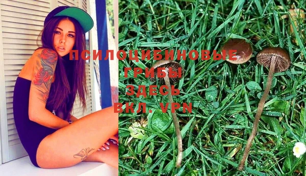 дурь Пролетарск